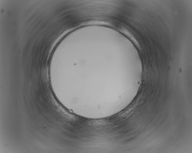 X0000072981092200608211343