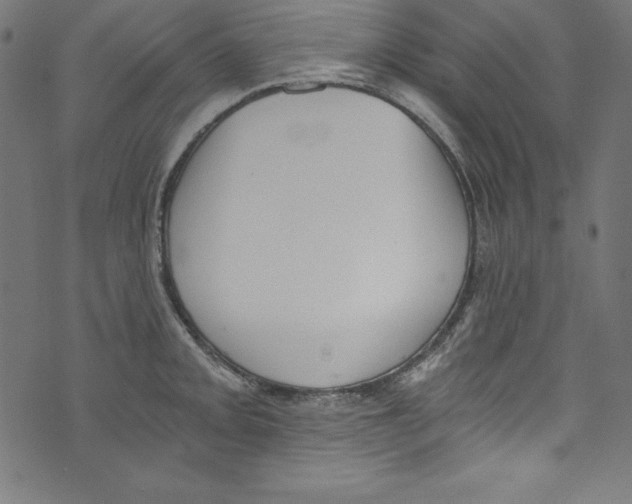 X0000072981093200608211343