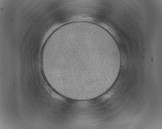 X0000072981094200608211343