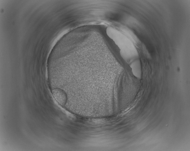 X0000072981095200608211343