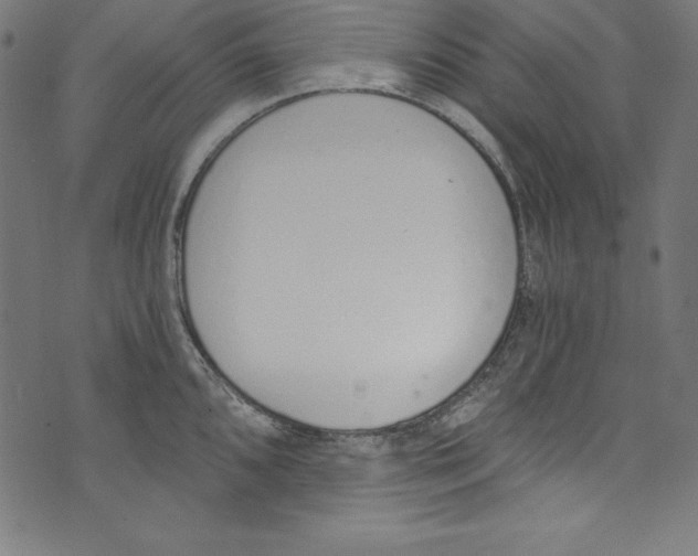 X0000072981096200608211343