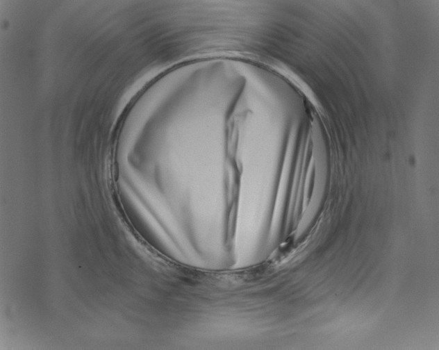 X0000072981101200608211343