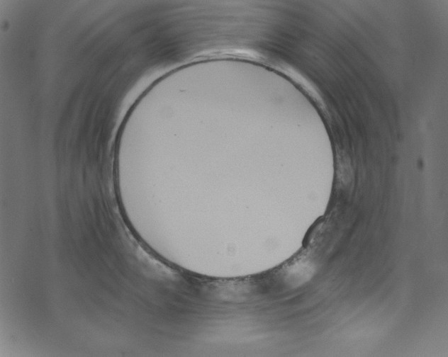 X0000072981102200608211343