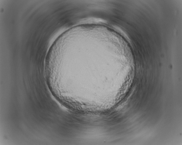 X0000072981103200608211343