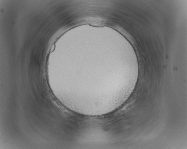 X0000072981104200608211343