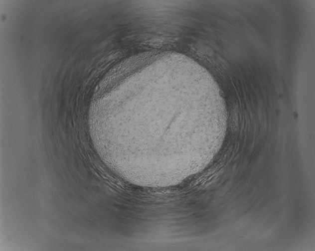 X0000072981105200608211342