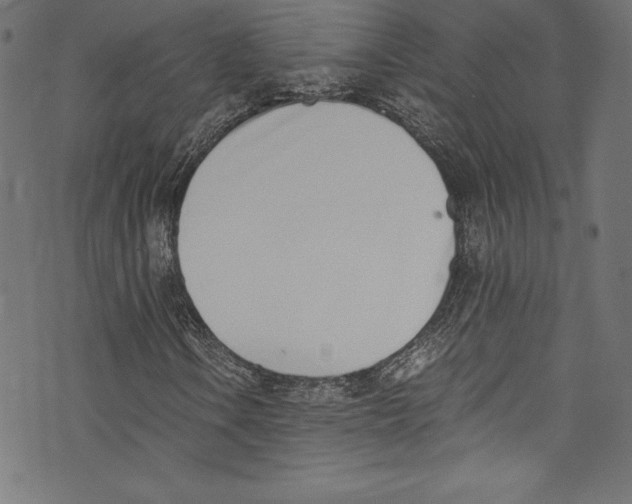 X0000072981106200608211342