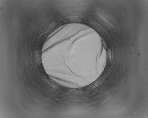 X0000072981107200608211342