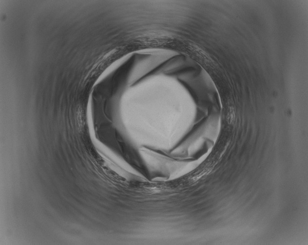 X0000072981108200608211342