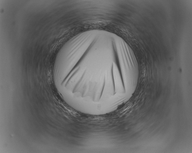 X0000072981109200608211342