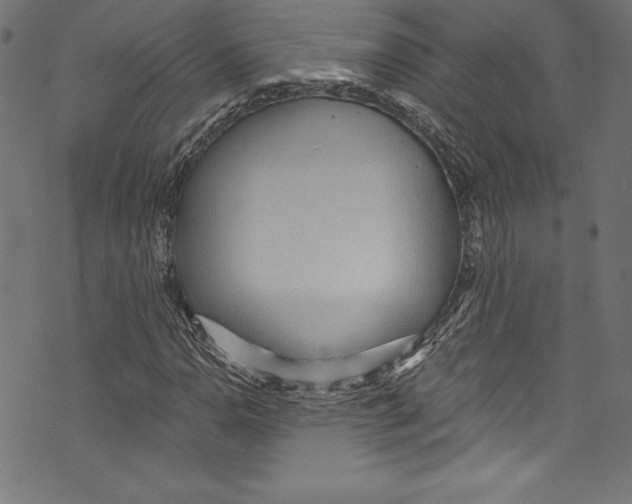 X0000072981110200608211342