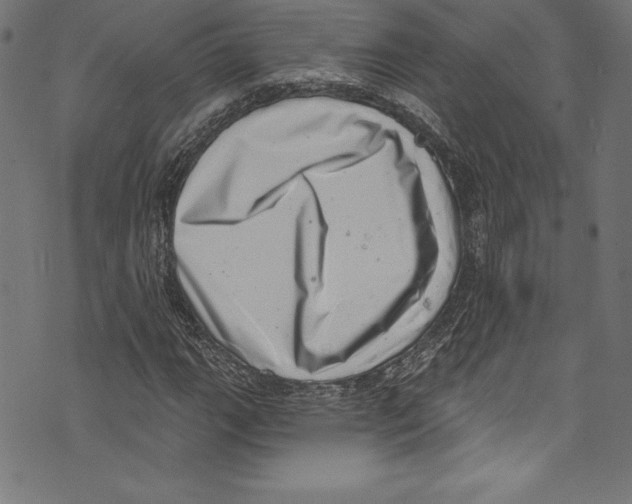 X0000072981111200608211343