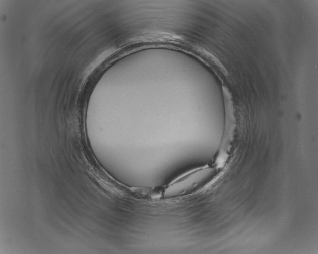 X0000072981114200608211343