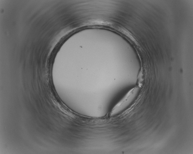 X0000072981116200608211343