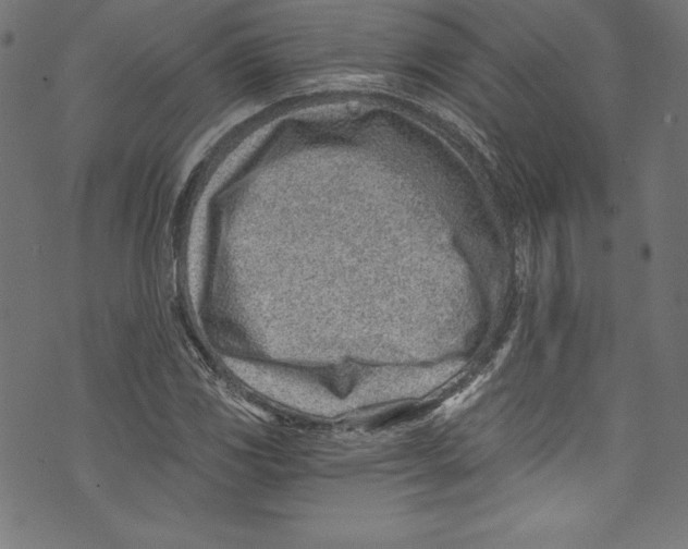 X0000072981117200608211343