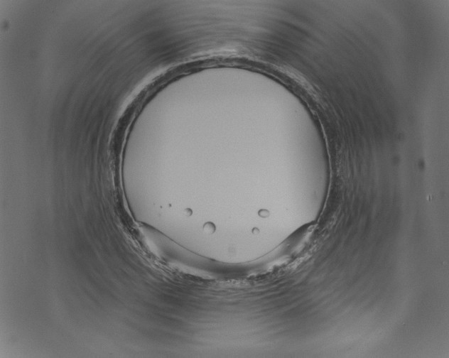 X0000072981118200608211343