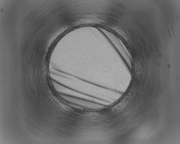 X0000072981119200608211343