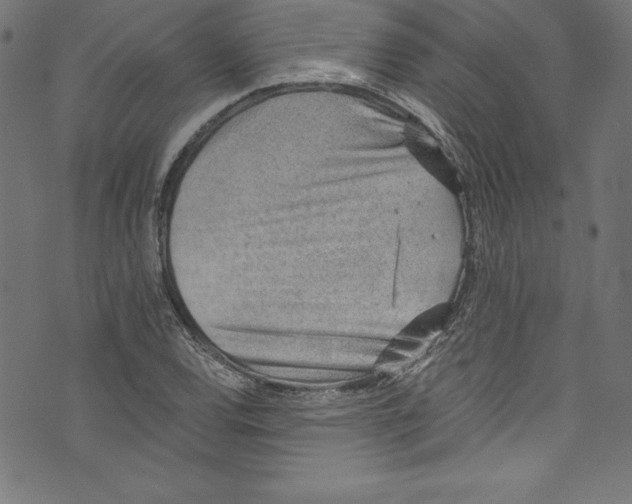 X0000072981120200608211343