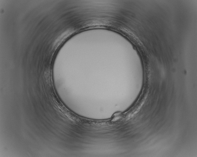 X0000072981121200608211343