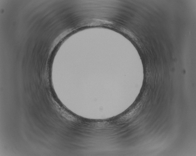 X0000072981122200608211343