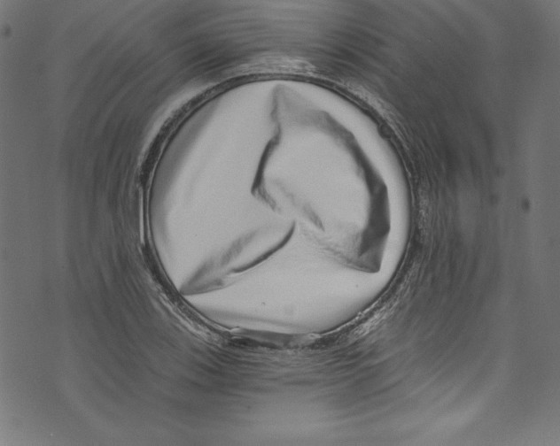 X0000072981123200608211343