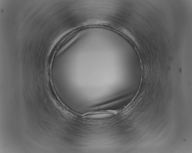 X0000072981124200608211343