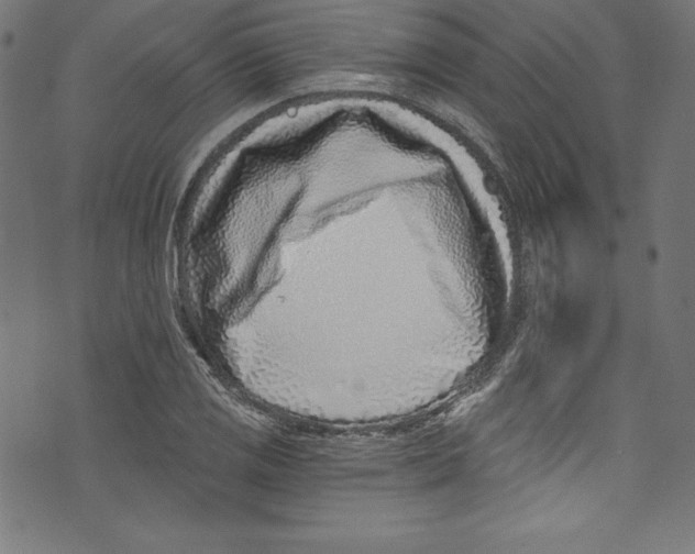 X0000072981125200608211343