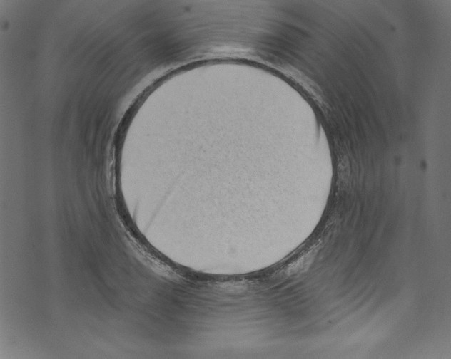 X0000072981126200608211343