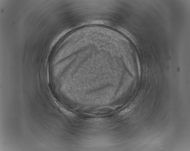 X0000072981127200608211343