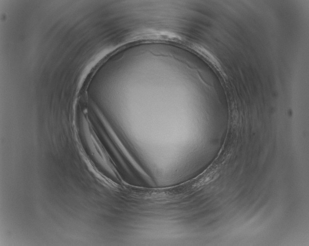 X0000072981128200608211343