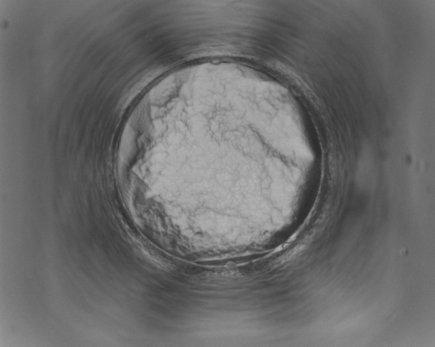 X0000072981129200608211343