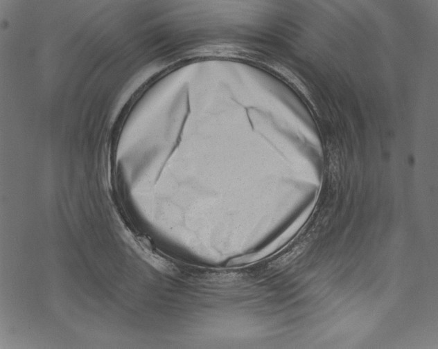 X0000072981131200608211343