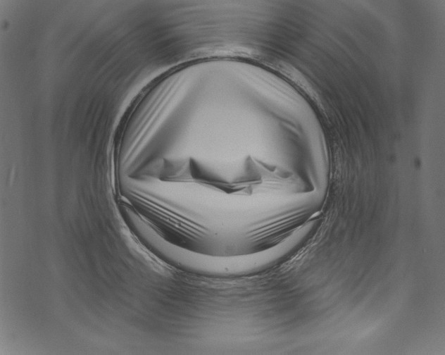 X0000072981132200608211343