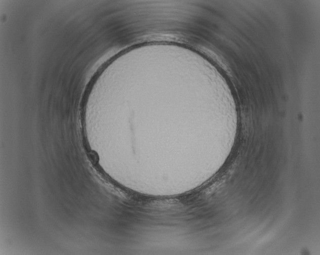 X0000072981133200608211343