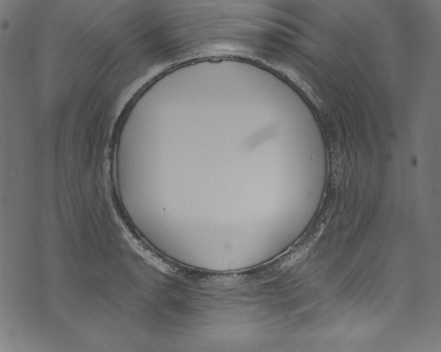 X0000072981134200608211343