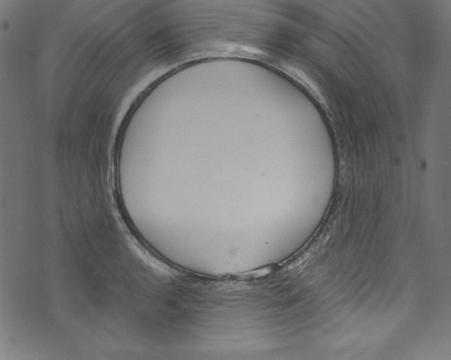 X0000072981136200608211343