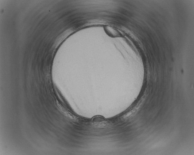 X0000072981137200608211343