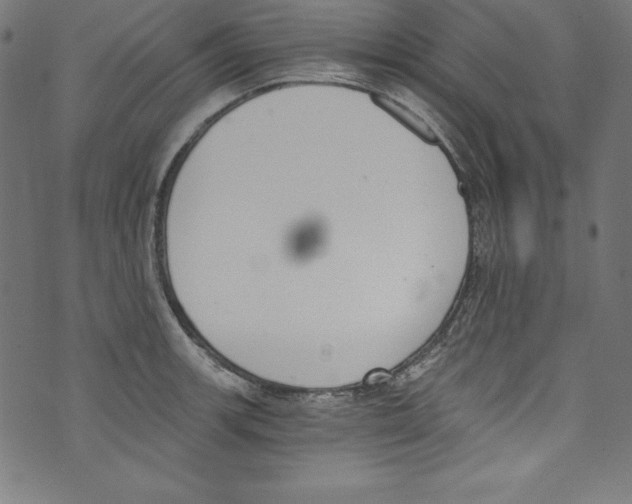 X0000072981139200608211343