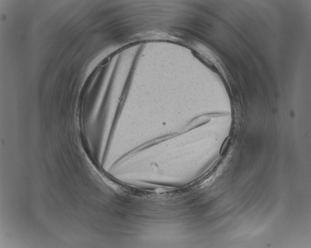 X0000072981141200608211343