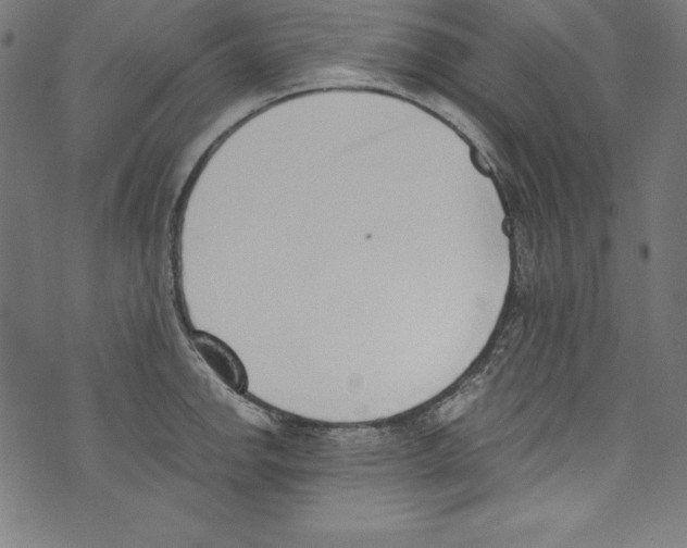 X0000072981142200608211343