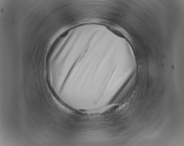 X0000072981143200608211343