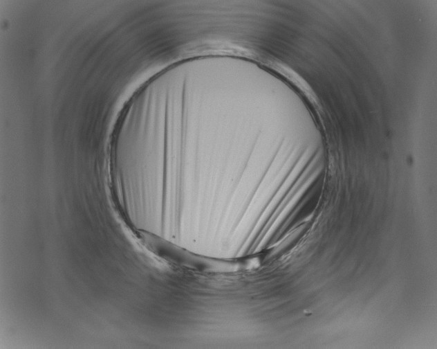 X0000072981144200608211343