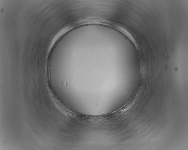 X0000072981146200608211343