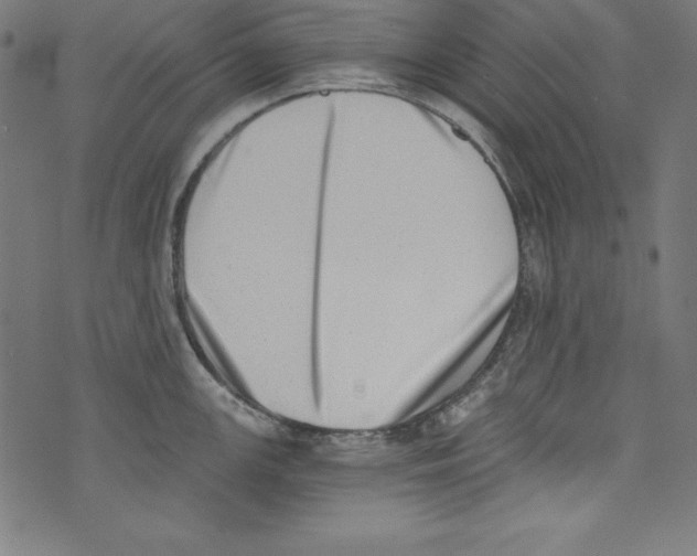 X0000072981147200608211343