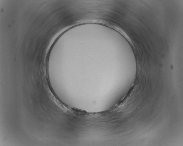 X0000072981148200608211343