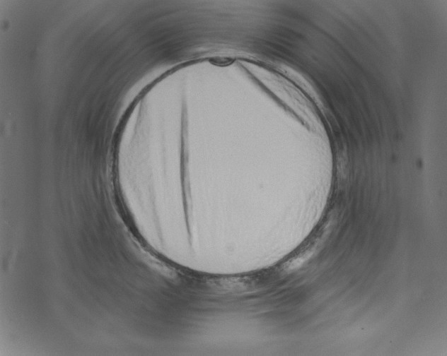 X0000072981149200608211343