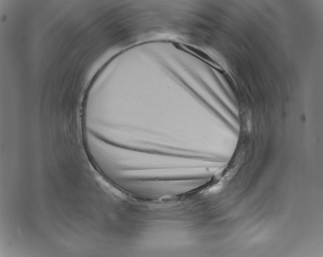 X0000072981151200608211343