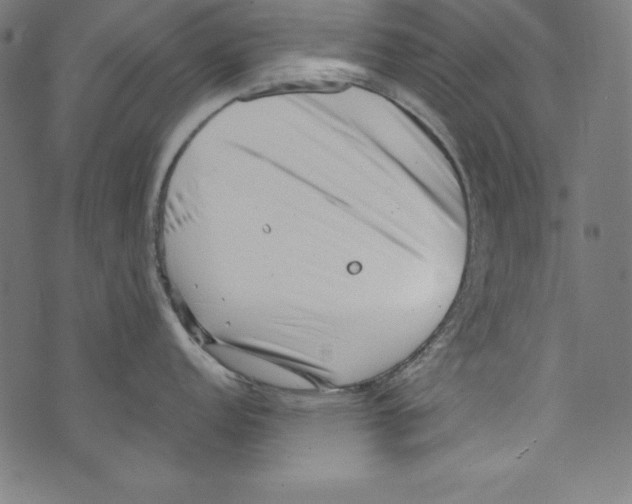 X0000072981152200608211343