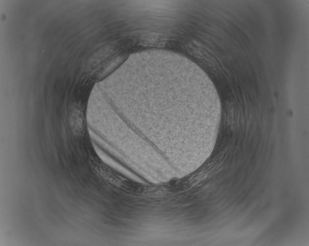 X0000072981154200608211342