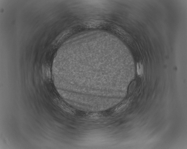 X0000072981155200608211342